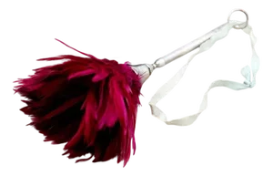 Silver Duster with Ring and Burgundy Feathers