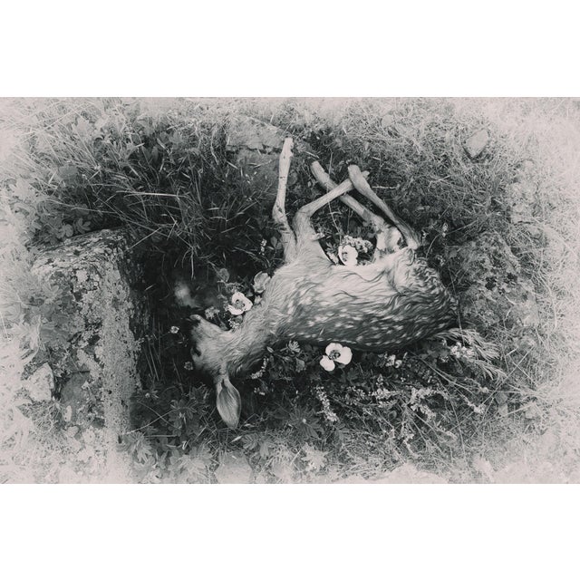 This artwork presents a poignant scene of a deceased fawn lying in a bed of delicate flowers, captured in a monochromatic...