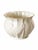 2000 - 2009 Belleek Georgian Shell Ivory and Blush Pink Parian Porcelain Cachepot With Gold Rim For Sale - Image 5 of 10