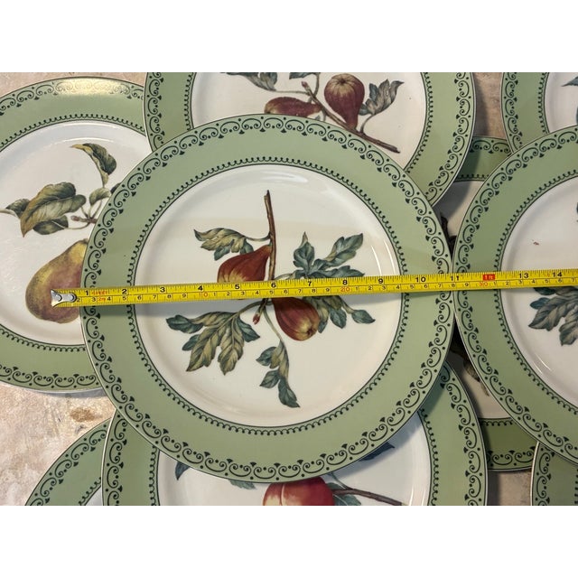 1980s Andrea by Sadek Winterthur Adaptation Botanical Dinner Plates – Set of 14 For Sale - Image 4 of 13
