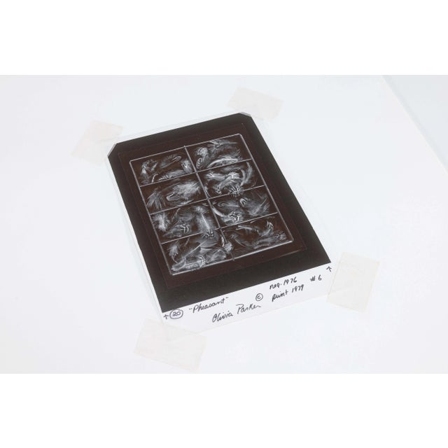 Contemporary Olivia Parker Pheasant Feathers Signed Original Gelatin Silver Photograph 1976 For Sale - Image 3 of 7