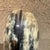 Carl Auböck Decorative Norm Spoon Ladle After Carl Aubock Mid Century Modern For Sale - Image 4 of 8