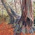 Life Long Friends Rooted In History by Deb Komitor | Gouache on Paper mounted on Wood Panel Trees in a forest setting with colorful foliage. For Sale