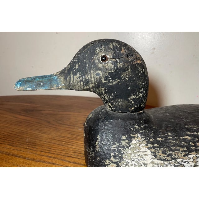 Antique 1920s Hand Carved Wood Folk Art Bluebill Drake Duck Decoy Bird Sculpture For Sale - Image 11 of 12