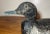 Antique 1920s Hand Carved Wood Folk Art Bluebill Drake Duck Decoy Bird Sculpture For Sale - Image 11 of 12