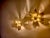 Metal Mid-Century Organically-Shaped Brass Wall or Ceiling Lights, 1970s, Set of 2 For Sale - Image 7 of 12