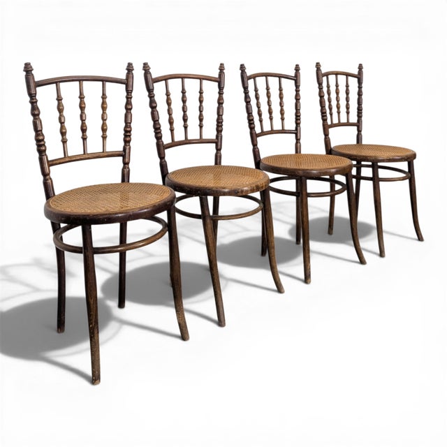 Dining Chairs in Wood from Thonet, Set of 4 For Sale