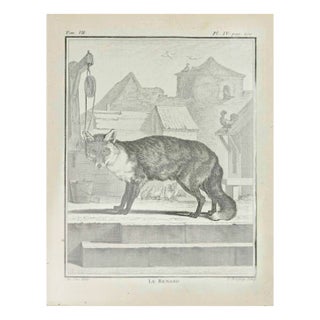 Jean Charles Baquoy, Le Renard, Etching, 1771 For Sale