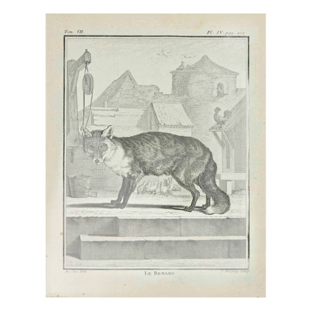 Jean Charles Baquoy, Le Renard, Etching, 1771 For Sale