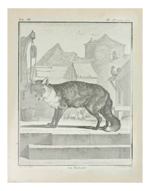 Jean Charles Baquoy, Le Renard, Etching, 1771