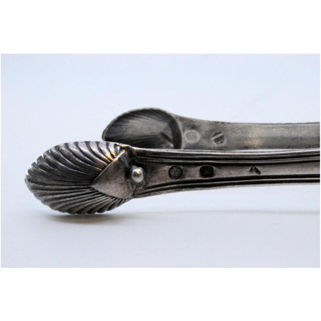 Silver Silver Sugar Tongs with Shell-Shaped Trim and Tongs For Sale - Image 8 of 9