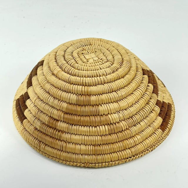 African Early 20th Century Tonga Basket Zambia 8inch Snake Belly Edge MATTER COLLECTION For Sale - Image 3 of 8