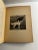 American 1906 Modern Breaking Setters Pointers Dog Book For Sale - Image 3 of 10
