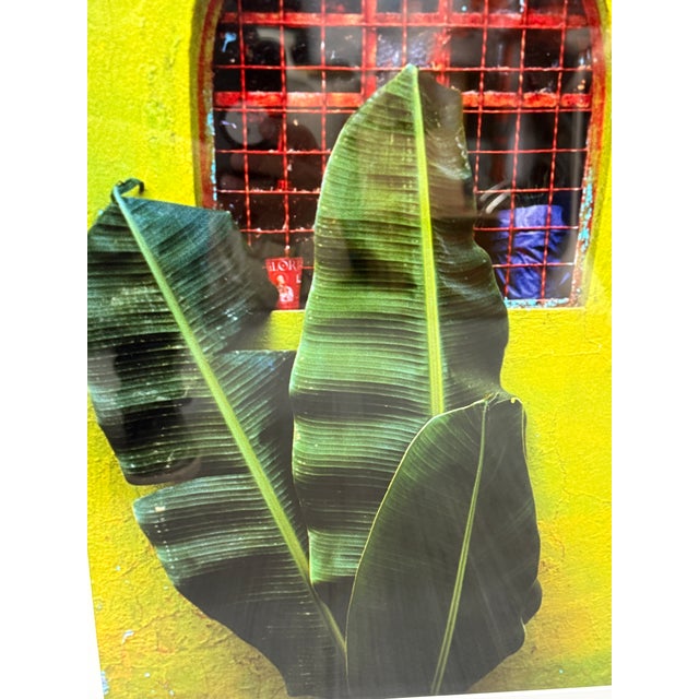 Jeffrey Becom Maya Color Chartreuse Ltd. Ed. Photograph, Signed For Sale In San Francisco - Image 6 of 12