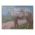 Horse Painting Giclee Art Print by Michelle Farro For Sale