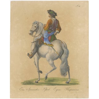 Carl Joseph Brodtmann, Andalusian Horse, 1816, Lithograph For Sale