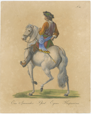 Carl Joseph Brodtmann, Andalusian Horse, 1816, Lithograph