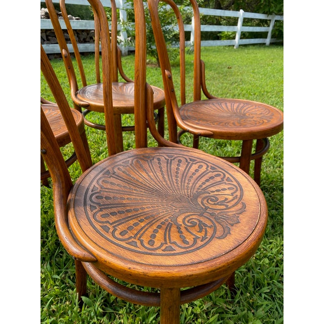 Thonet 1895-1914, J&j Kohn Bentwood Chairs, Pre-Thonet Sequentially Numbered For Sale - Image 4 of 6
