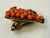 Mid-Century Modern Miriam Haskell Signed Wired Glass Coral Beads & Prong Set Rhinestones Frank Hess For Sale - Image 3 of 10