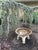 A beautifully proportioned cast‑stone birdbath with a wide, shallow basin resting on a sculptural base. The form is...