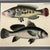 This original 1826 hand-colored fish lithograph comes from Friedrich Strack’s Naturgeschichte in Bildern mit erläuterndem...