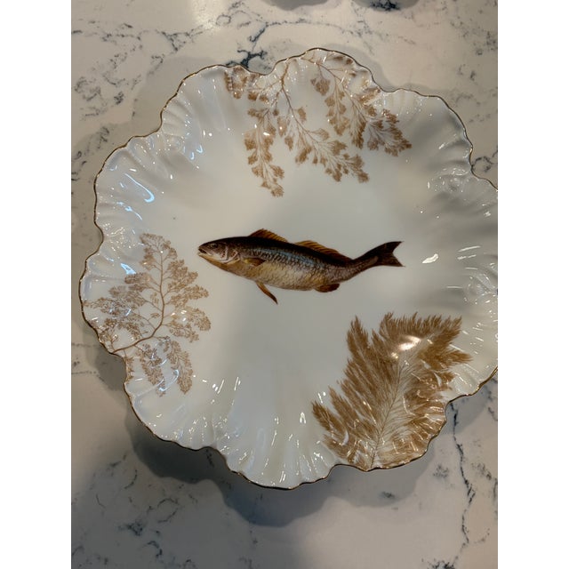 Eggshell Antique Plates Limoges Gold Rimmed (14 Piece Set) For Sale - Image 8 of 17