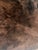 Contemporary Chocolate Brown Silky Shearling Fur Throw For Sale - Image 3 of 4