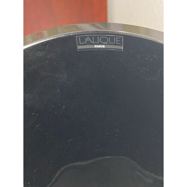 2000 - 2009 Lalique Vase, Bacchantes Black Collection Large Limited Edition For Sale - Image 5 of 7
