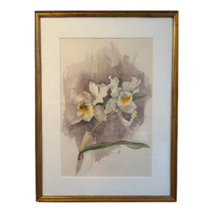 Watercolor - Flowers, Framed