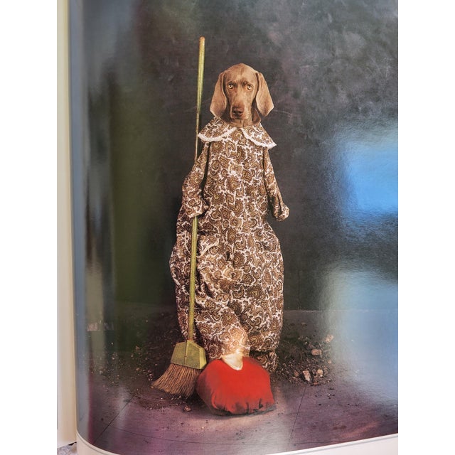 Cinderella by Art Photographer William Wegman For Sale - Image 11 of 11