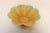 Art Deco English Art Deco Ceramic Fluted Yellow, Orange and Green Compote Bowl by Beswick For Sale - Image 3 of 15