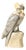 Art Deco Carved Alabaster Sculpture of Cockatoo, 1930s For Sale