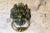 Gothic Lion’s Mask Brass Door Knocker This is a good looking door knocker, the handsome Lion’s Head is at the centre and...