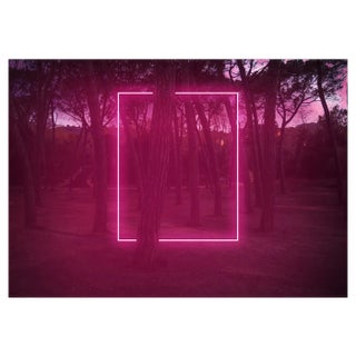 Artur Debat, Rectangle Red Light Neon Between Pine Trees, Photograph For Sale