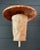 Here is an incredible and special wall-mounted wall light sconce featuring all natural, organic materials in an...