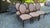 French Late 20th Century Set of 6 Louis XVI Style Oval Back Dining Chairs For Sale - Image 3 of 15