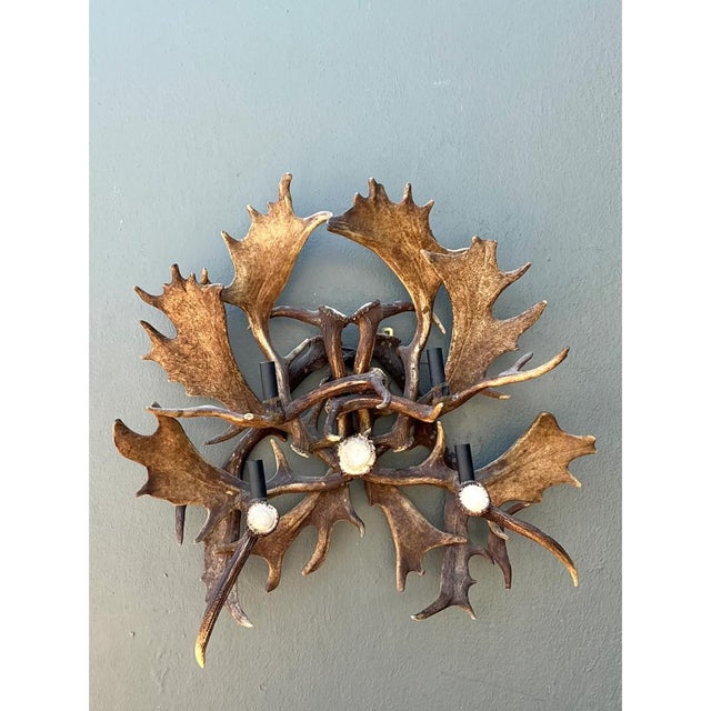 Camel Vintage Monumental Antler and Metal Wall Sconce For Sale - Image 8 of 12