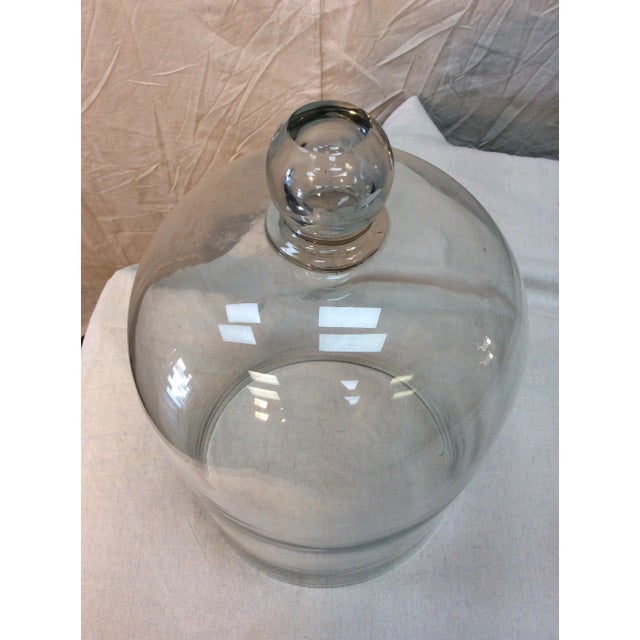 19th Century 1800s French Glass Dome, Cloche With Solid Glass Knob Handle For Sale - Image 5 of 12