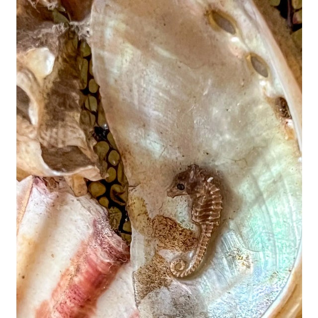Mid-Century Seashell Encrusted Framed Art – A Pair – Coastal Cottage / Organic Modern For Sale In Houston - Image 6 of 11