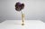 Candleholders by Jens Harald Quistgaard for Dansk Design, 1950s, Set of 2 For Sale - Image 6 of 7