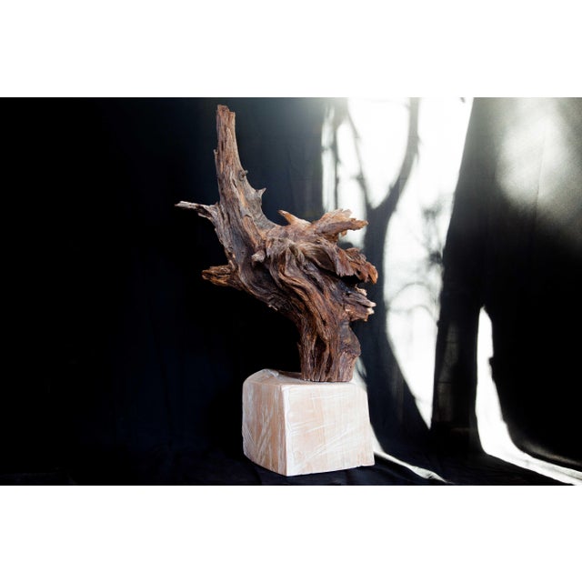 Contemporary Wabi Sabi Root Wood Sculpture For Sale - Image 3 of 13