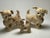 Rubber 1960s Mobley Rubber Dogs For Sale - Image 7 of 7