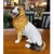 Hand painted, vintage Italian ceramic collie. This charming pup has a charming grin on his adorable little face. He’s...
