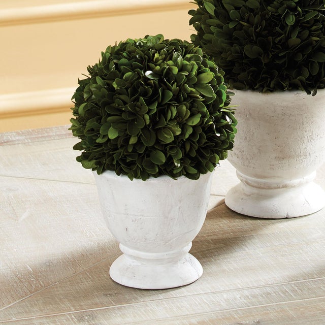 Real English boxwoods, preserved and painstakingly assembled by our masterful artists. Artfully arranged and preserved to...