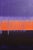 "Monstera Double Shadows Blue Orange" - Large Original Acrylic Painting by Simon Findlay For Sale - Image 12 of 18
