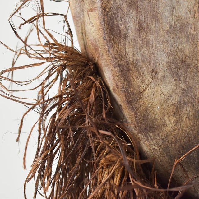 Tan Early 20th Century Metoko Wood Carved Mask With Raffia Beard For Sale - Image 8 of 9