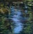 Still Waters I by Elena Degenhardt | Oil on canvas depicting a serene body of water with greenery. For Sale