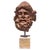 Head of Ulysses, Italy 20th Century, Terracotta For Sale - Image 6 of 6