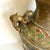 Antique Japanese Champlevé Vase With Foo Dog Handles For Sale - Image 4 of 8