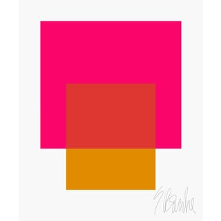 The Interaction of Deep Pink and Gold Fine Art Print 25" X 30" by Liz Roache For Sale